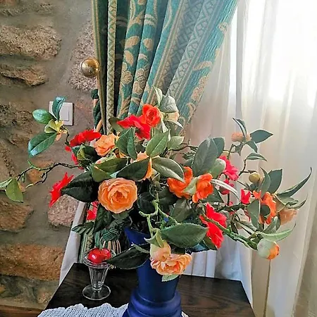 Rosas Da Granja - * Boticas