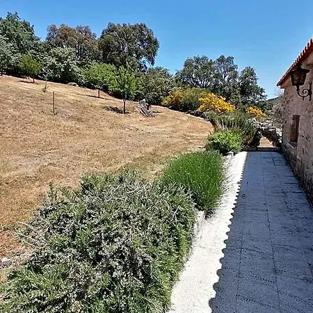 Rosas Da Granja - Boticas