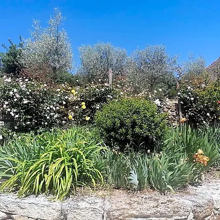 Hotel Rosas Da Granja - Boticas