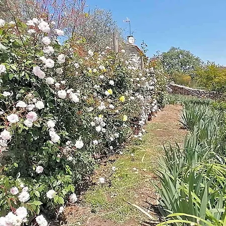 Rosas Da Granja - 酒店 *